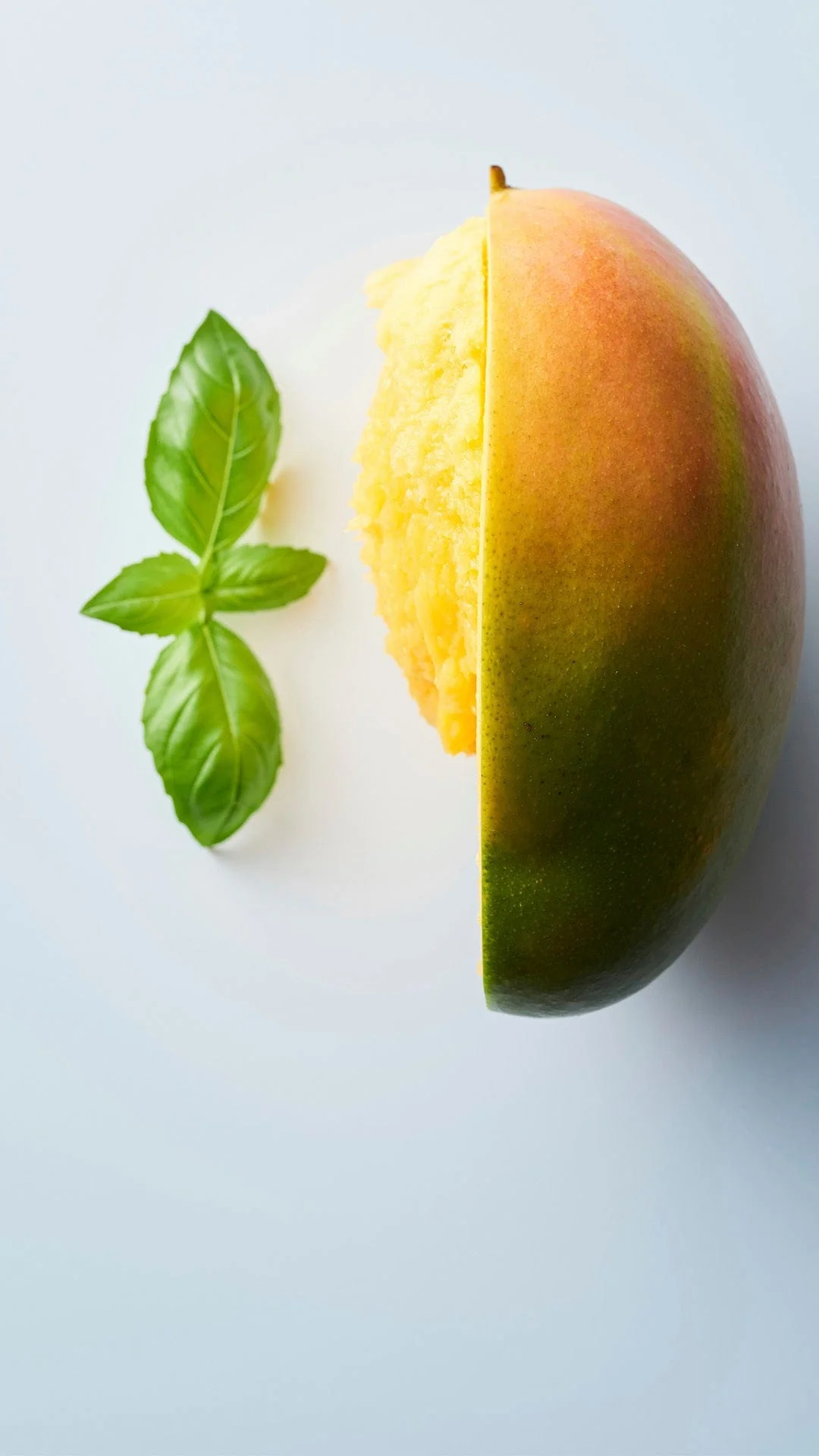 HYDRATE Conditioner 250ml For Dry Hair - Image 4